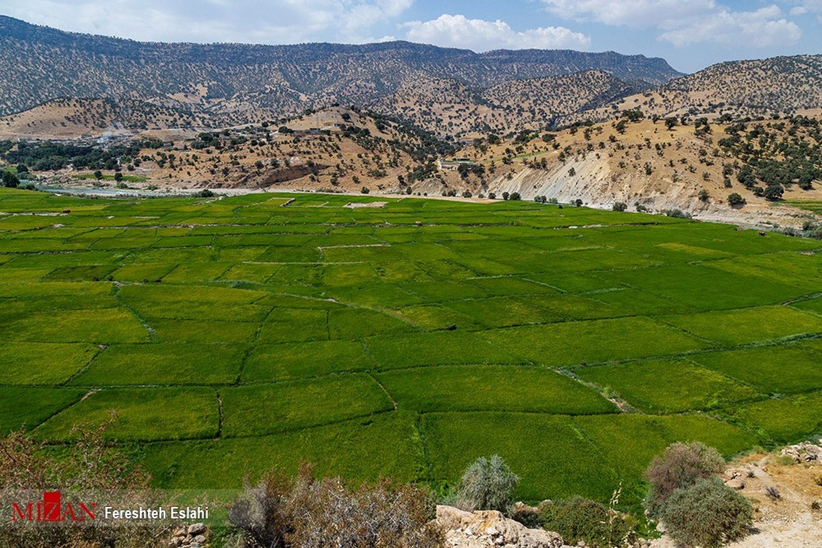 دادستان ساری: موقوفه مرشدی، اراضی ملی و منتسب به سازمان منابع طبیعی کشور است دادستان ساری: موقوفه مرشدی، اراضی ملی و منتسب به سازمان منابع طبیعی کشور است