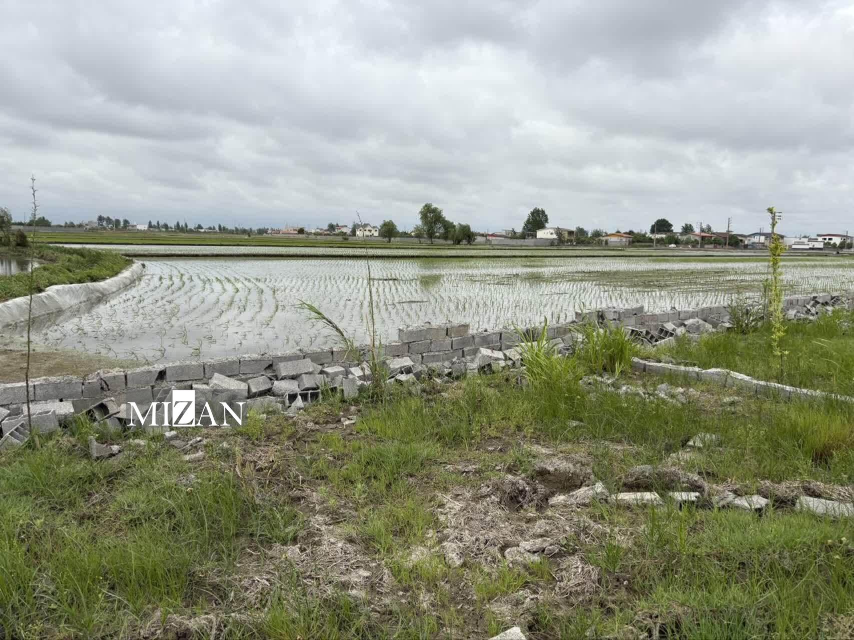 بیش از  ۱۸هزار متر از اراضی بخش مرکزی شهرستان آمل به گردش کار کشاورزی بازگشت