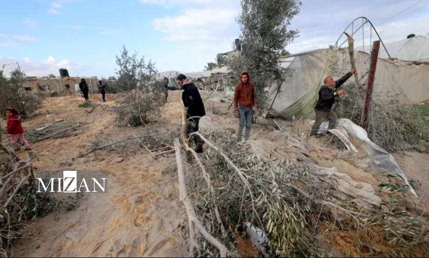 بوم‌کَشی؛ جنایتی تاریخی در مسیر به رسمیت شناخته شدن