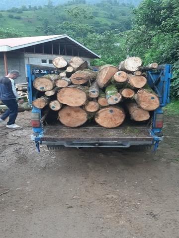 چوب قاچاق در رحیم آباد کشف شد