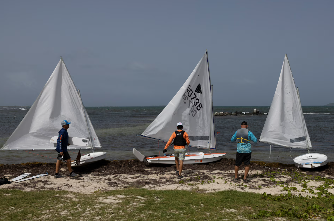 خزه‌های دریای کارائیب