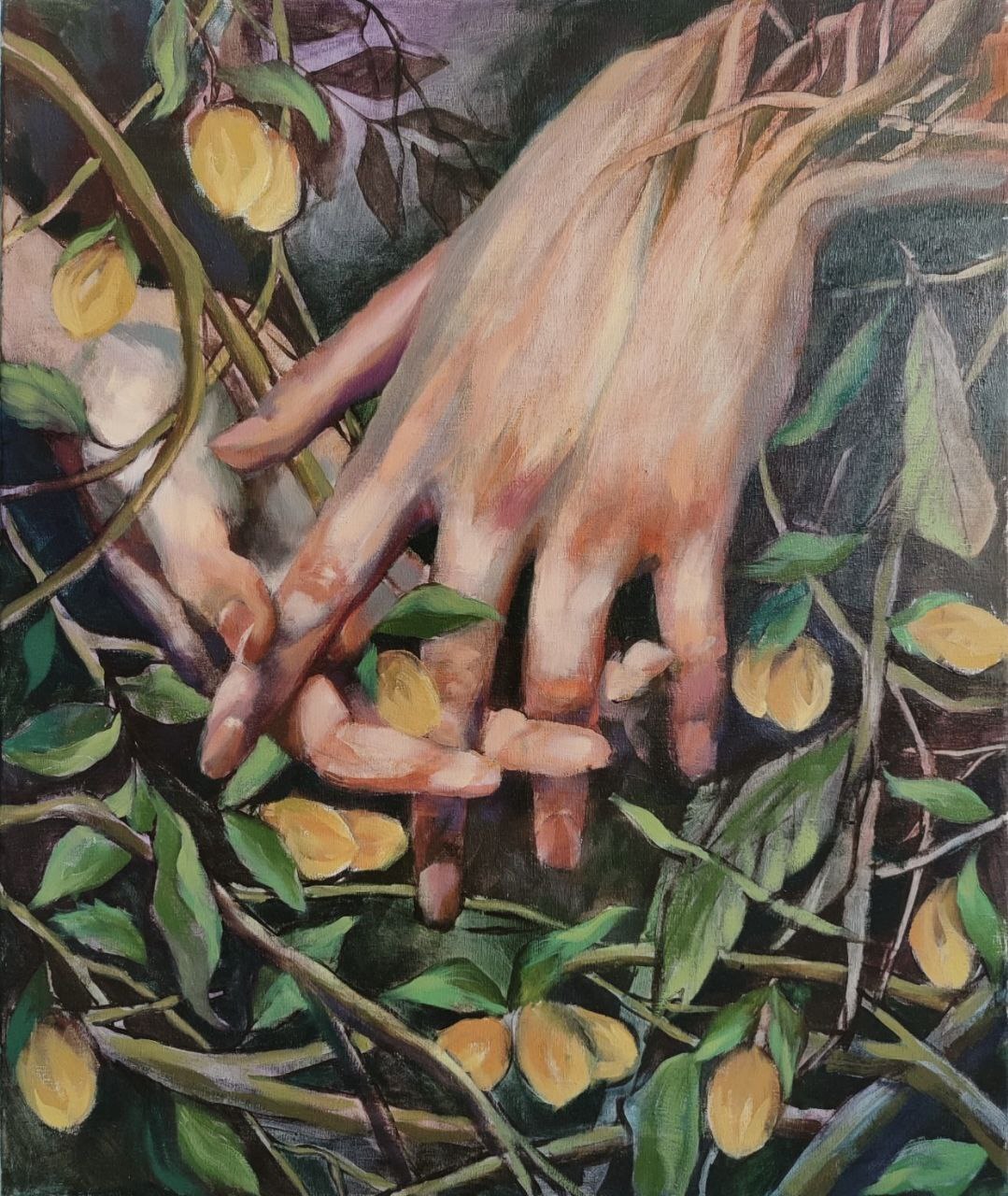 «قابِ تداعی» و نمایش آثار ۲۶ هنرمند ایرانی در عمان