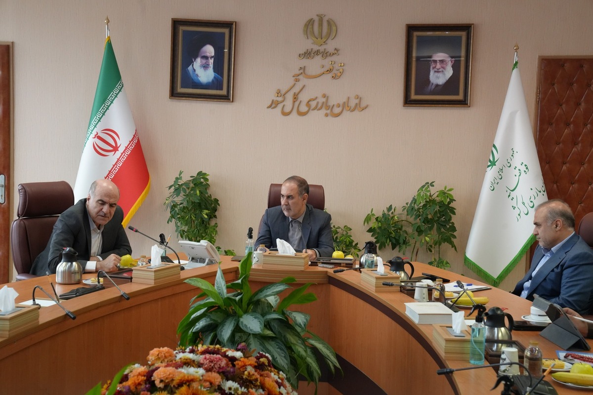 قائم مقام سازمان بازرسی کل کشور: نظارت مؤثر و اصلاح رویه‌ها، مسیر سرمایه‌گذاری را هموار می‌کند