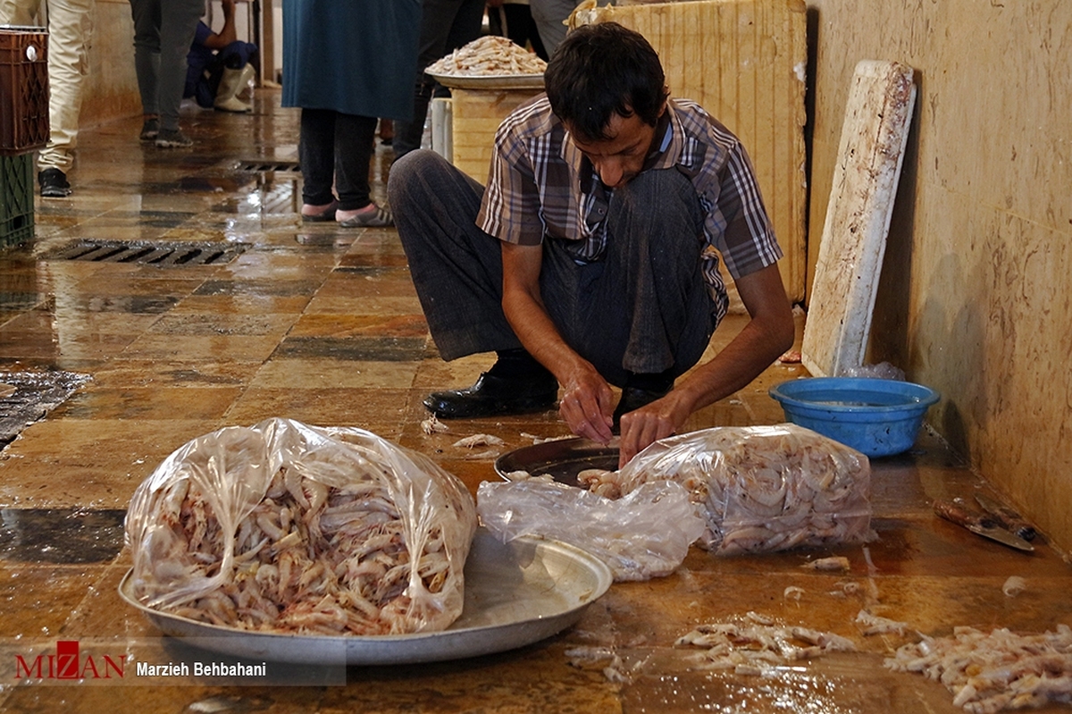 مشکل قطعی برق کارگاه‌های پرورش میگوی هندیجان با ورود دادستانی شهرستان مرتفع شد