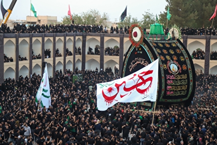 نخل گردانی عصر عاشورا در یزد