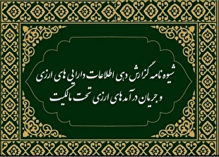 شیوه‌نامه گزارش‌دهی اطلاعات دارایی‌های ارزی و جریان درآمد‌های ارزی تحت مالکیت