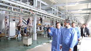 بازدید میدانی رئیس کل دادگستری آذربایجان غربی و دادستان مرکز استان از سه واحد تولیدی /فراهم شدن زمینه اشتغال بیش از ۳۰۰ نفر