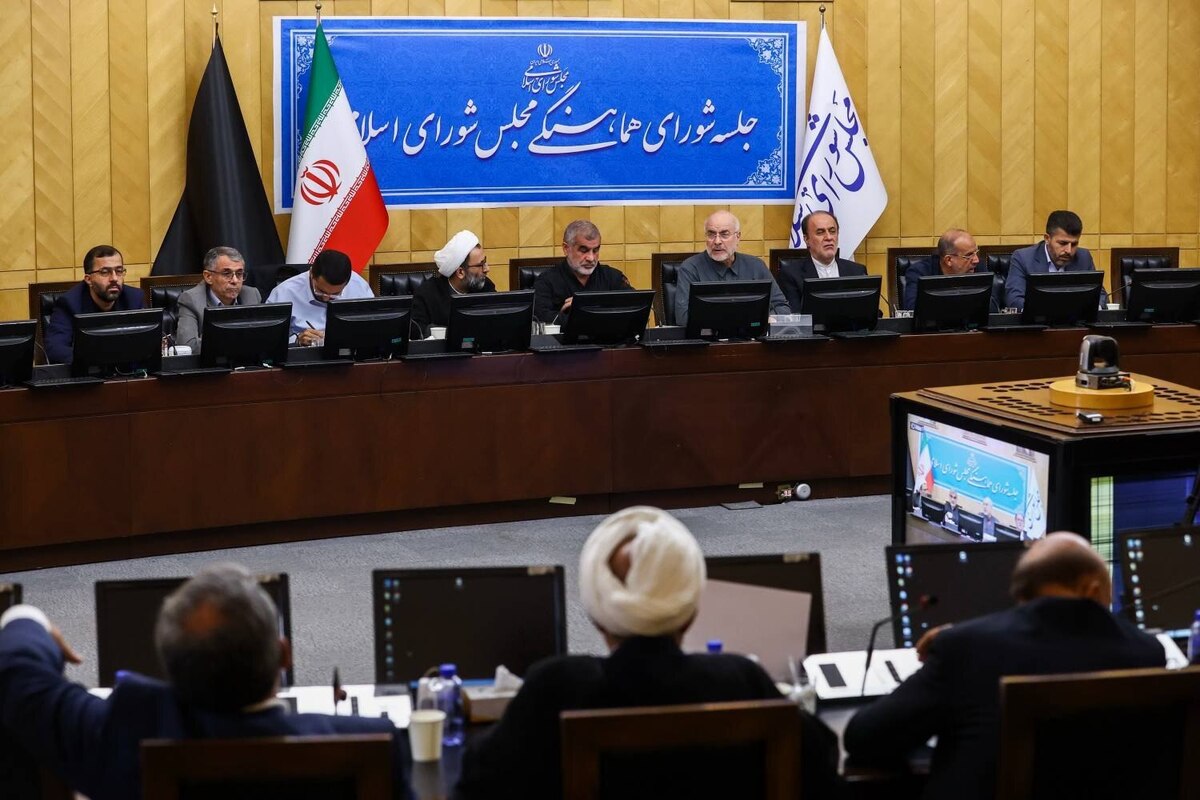 تاکید رئیس مجلس بر همراهی قوا برای حل مشکلات کشور