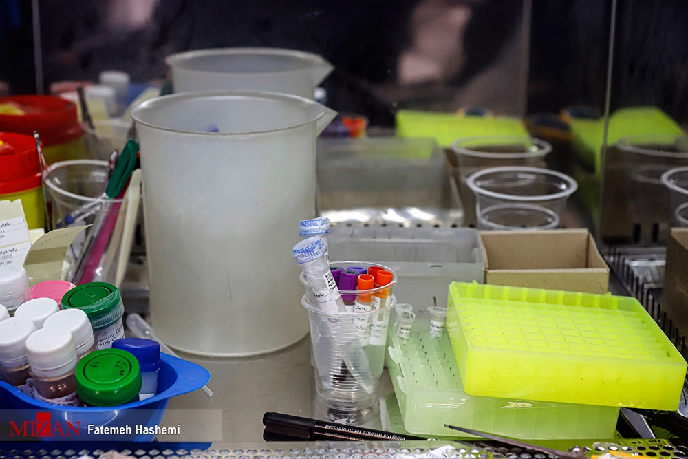 نقش تعیین کننده بانک اطلاعات ژنتیک در کشف جرم و اجرای عدالت/ انطباق ۲۰۰ نمونه صحنه جرم با پروفایل‌های ژنتیکی موجود در بانک زنتیک/ ۲۴۰ هزار نمونه ژنتیک از مجرمان خطرناک اخذ شده است