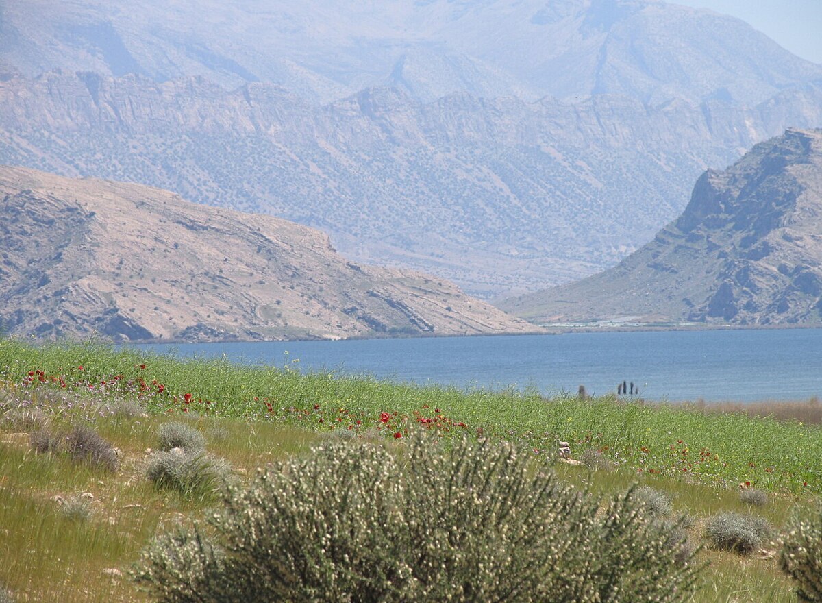 سند مالکیت تک‌برگ تالاب پریشان با پیگیری سازمان بازرسی کل کشور به نام سازمان حفاظت محیط زیست صادر شد