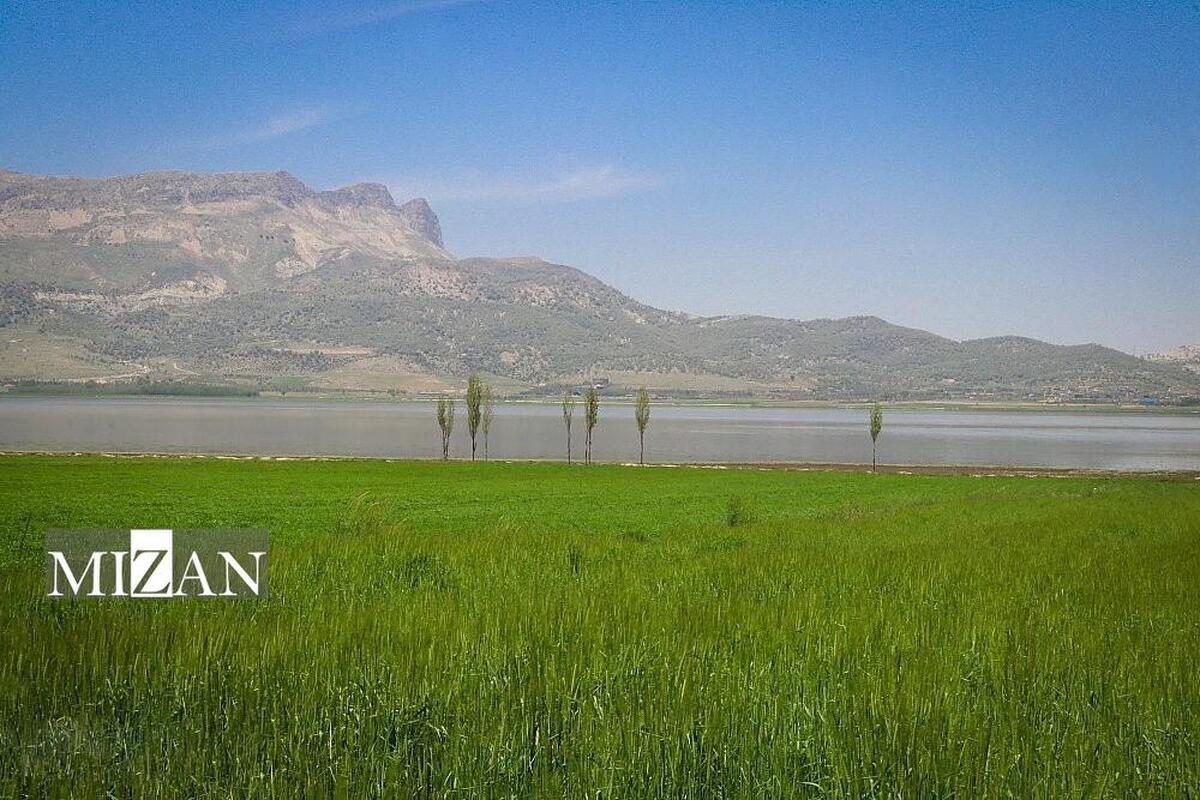 رئیس کل دادگستری فارس: سند تک برگ تالاب ارژن صادر شد