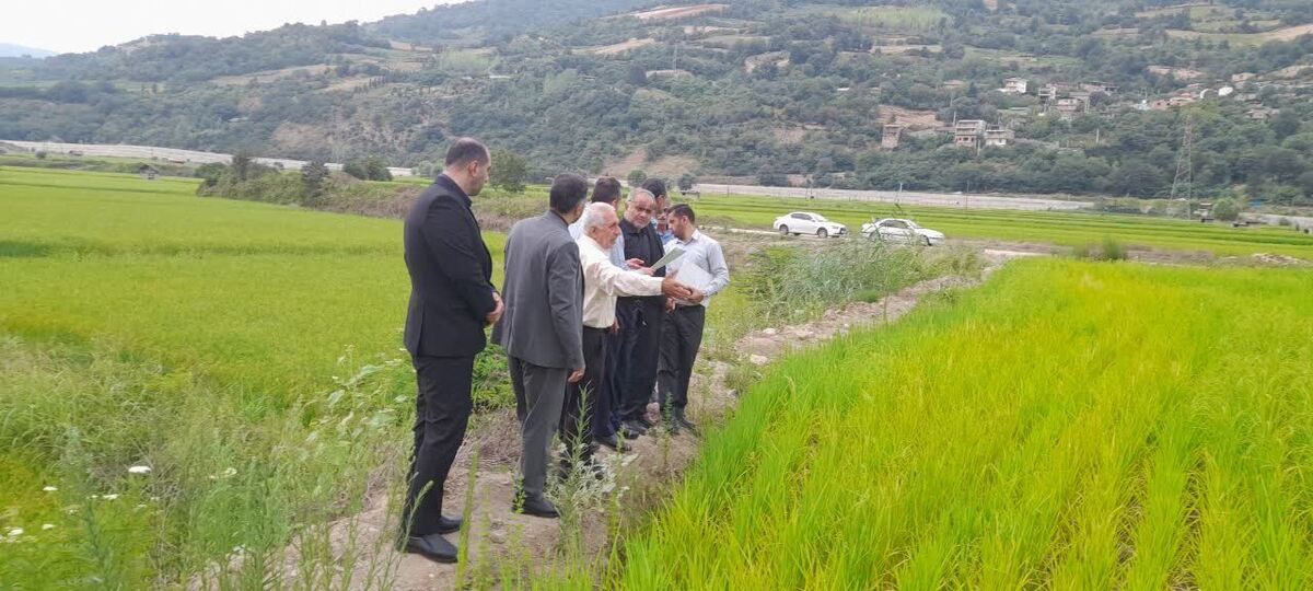 دادستانی مرکز استان مازندران به موضوع تصرفات غیرقانونی بستر رودخانه تجن ورود کرد