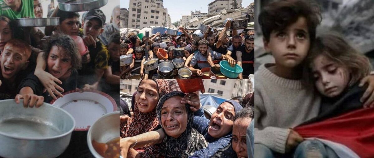 تلویزیون در این هفته «برنامه آشپزی» ندارد/ همدردی با مردم مظلوم غزه