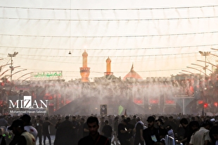 اینفوگرافیک | نکات ضروری برای زائران اربعین پس از بازگشت