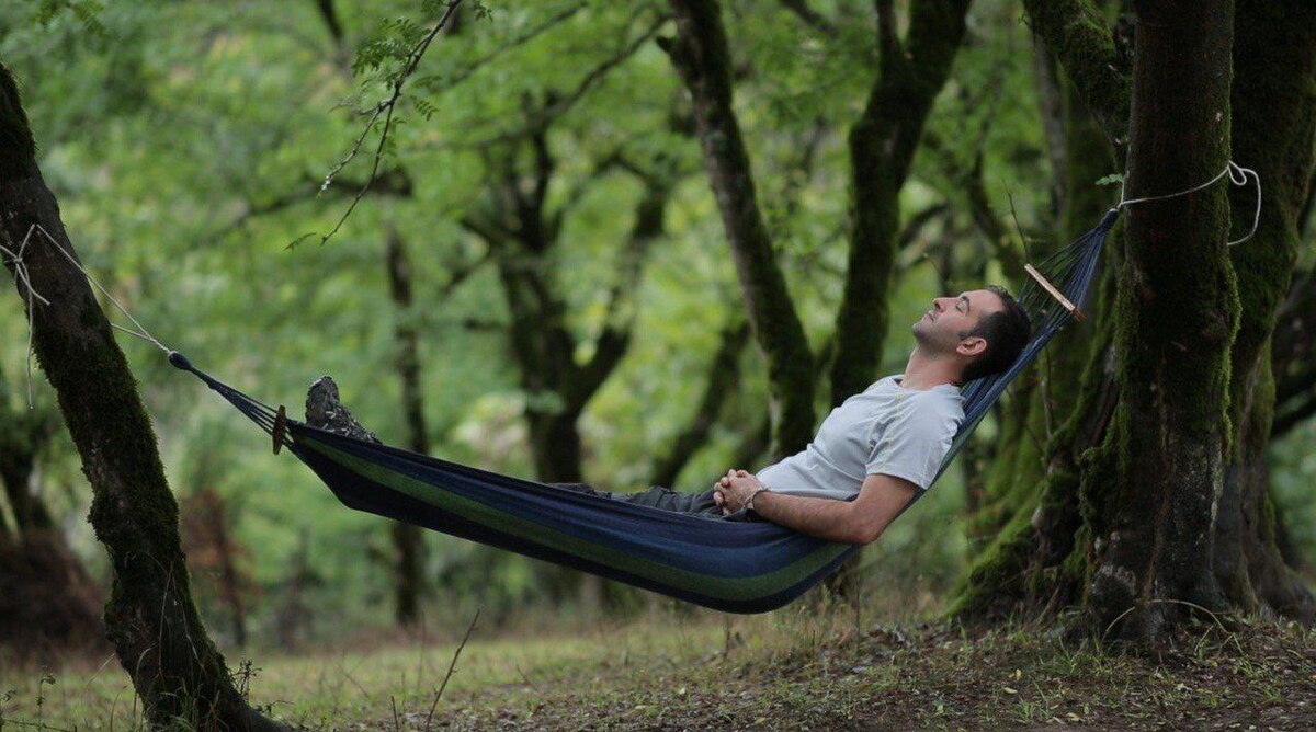 یک اکران ویژه برای «خانواده خلج»