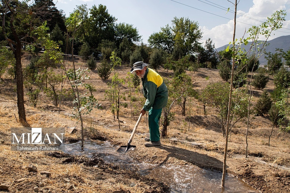 سخنگوی شهرداری تهران: خسارات وارد شده به فضای سبز پارک‌های جنگلی سرخه حصار و چیتگر قابل جلوگیری نبود/ کاهش ۱۵ متری ارتفاع آب‌های زیرزمینی تهران در ۳۰ سال گذشته