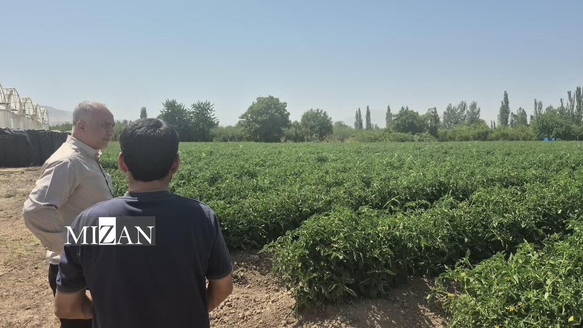 ایجاد اشتغال صنعت محور برای ۲۲۰ زندانی در شهرک صنعتی ارومیه و مجتمع سیستم نوین گلخانه‌ای هیدروپونیک