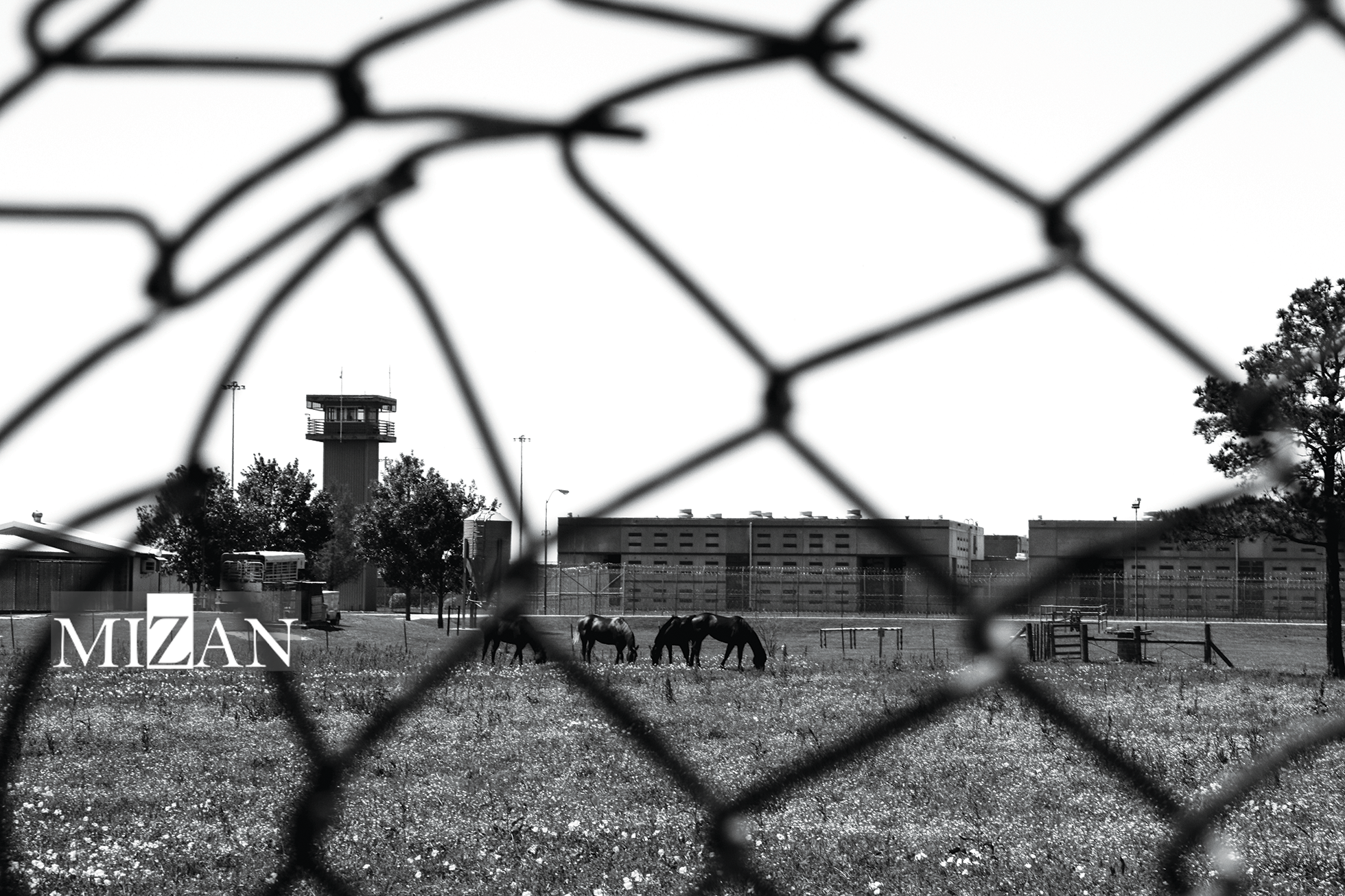 تاسیسات زامبی؛ زندان‌های تعطیل در آمریکا که برای بازداشت مهاجران بازگشایی می‌شوند