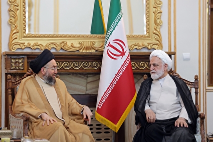 دیدار سید عمار حکیم با رئیس قوه قضاییه