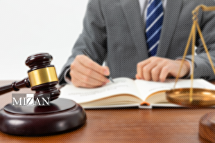 اینفوگرافیک | مشارکت نهادهای مردمی در فرآیند عدالت