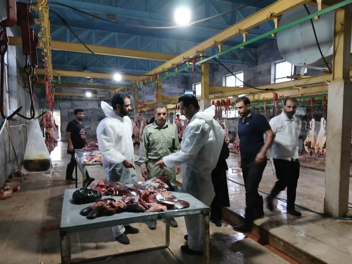 دادستان پلدختر: کشتار غیر بهداشتی دام تهدیدی جدی برای سلامتی مردم است