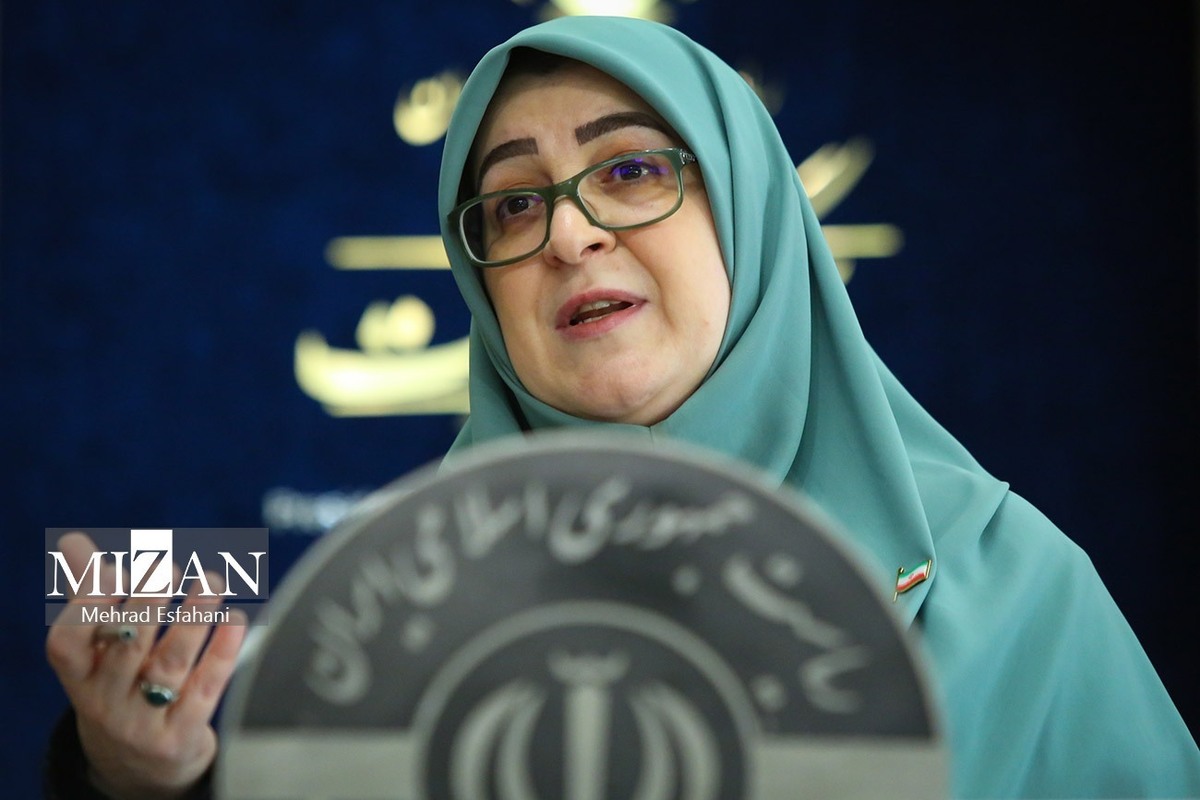 سخنگوی دولت: جمع‌بندی خروج از NPT با کلیت نظام است/ اعطای سهام به نوزادان متولد ۱۴۰۰ به بعد