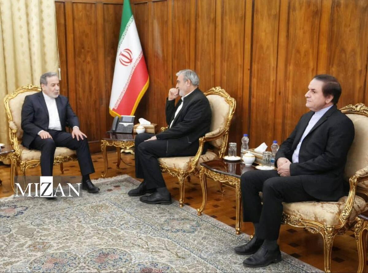 دیدار رئیس کمیسیون مجلس شورای اسلامی با عراقچی