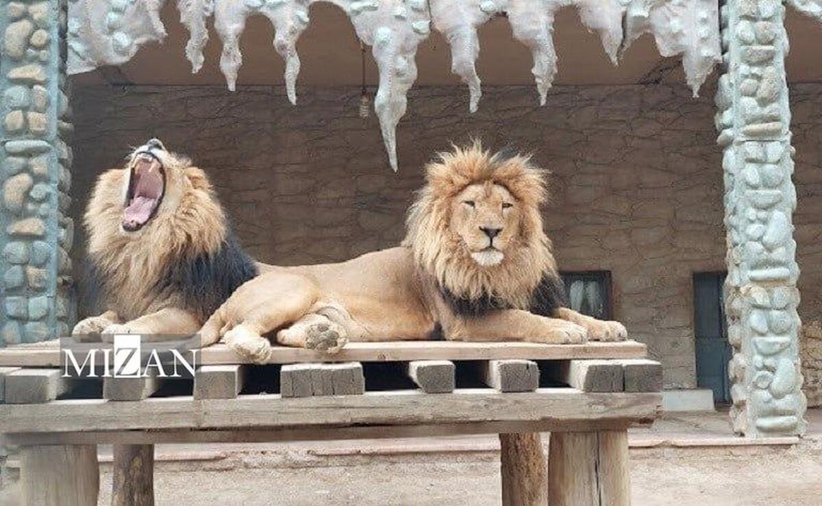 حمایت فعالان حیات وحش از باغ وحش ارم