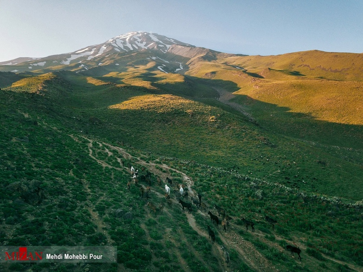 داستان عجیب واگذاری ۸۰ هکتار از بهترین اراضی ملی شهرستان دماوند با تخفیف ۵۰ درصدی/ چند دهه پیش برای ۸۰ هکتار زمین منطقه چشمه مگسی سند قطعی صادر کردند/ در طول سالیان هیچ اقدامی در جهت اجرای طرح کشت علوفه انجام نشد