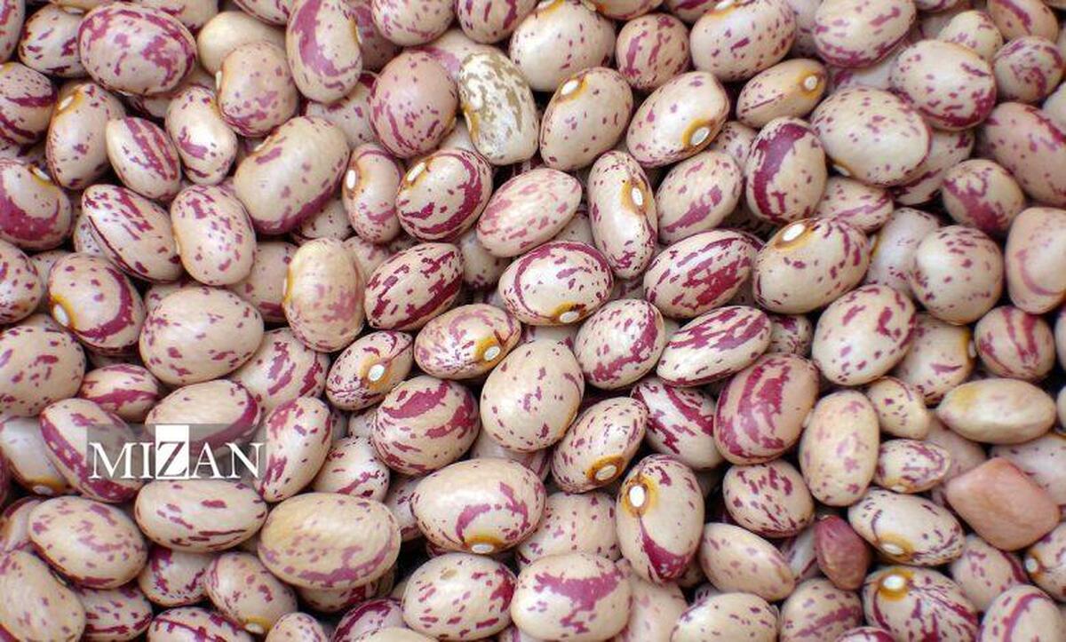 وقتی لوبیاچیتی با گوشت رقابت می‌کند؛ افزایش قیمت برای چندمین‌بار