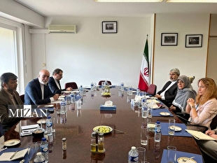 اینفوگرافیک | در دیدار گزارشگر ویژه سازمان ملل با دبیر ستاد حقوق بشر ایران چه گذشت؟