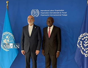 اینفوگرافیک | در دیدار دبیر ستاد حقوق بشر ایران با مدیرکل سازمان بین‌المللی کار چه گذشت؟