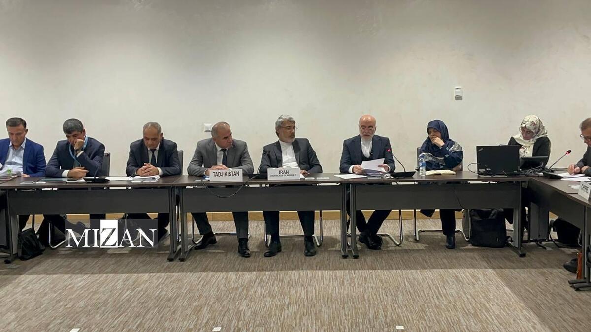 سیاسی‌کاری، شورای حقوق بشر سازمان ملل را بی‌اعتبار می‌کند