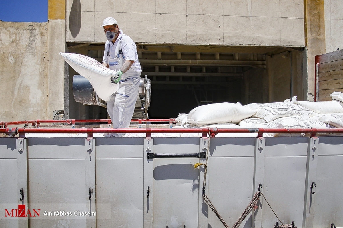 ۶ متهم احتکار عمده آرد در جویبار دستگیر شدند/ کشف و ضبط پنج هزار کیسه آرد قاچاق