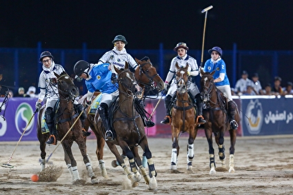 رقابت‌های لیگ ملی چوگان