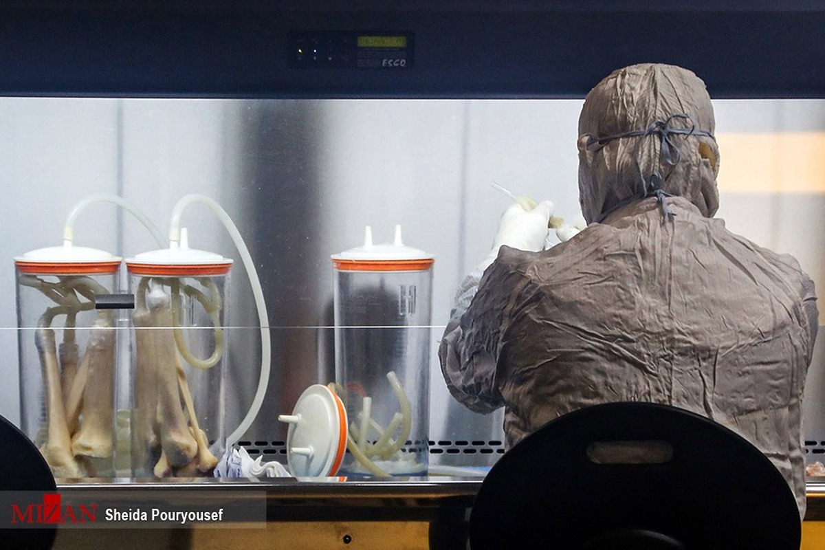 آزمایشگاه‌های تشخیص پزشکی در آستانه بحران و تعطیلی