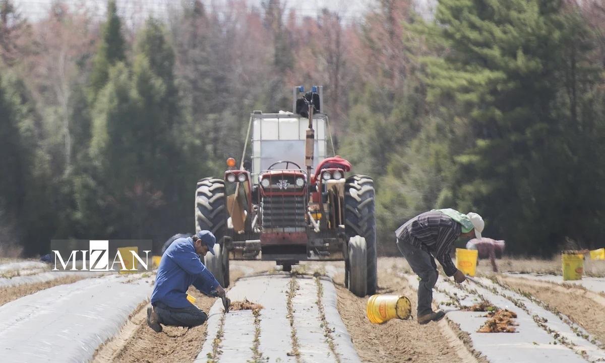ویزای کار موقت؛ هدیه دولت کانادا به کارفرمایان برای استثمار مهاجران