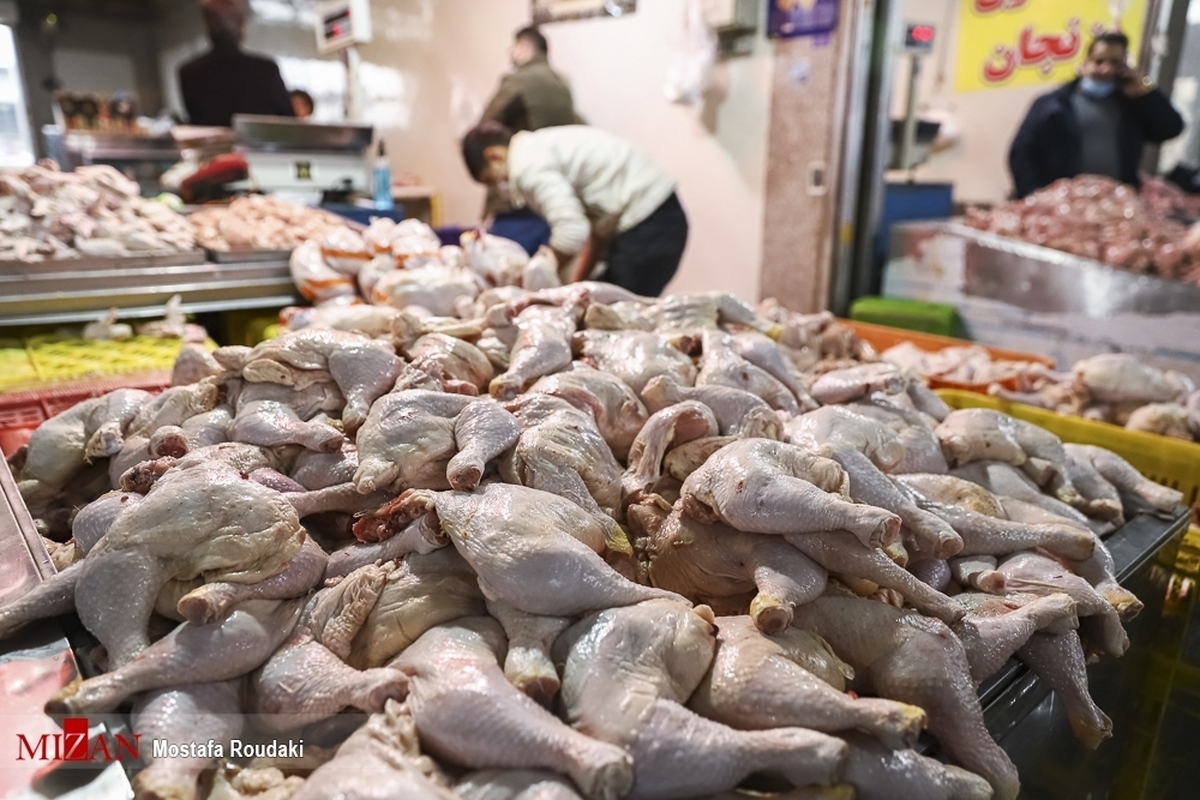 قیمت انواع گوشت مرغ تازه و بسته‌بندی و قطعه‌بندی اعلام شد
