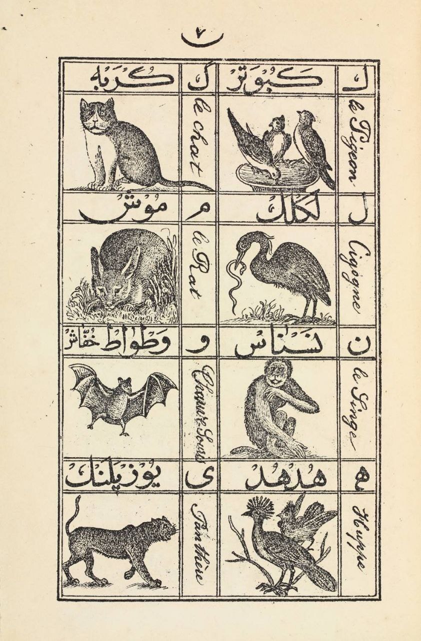 میراث مدرسه به روایت کتابخانه و موزه ملی ملک