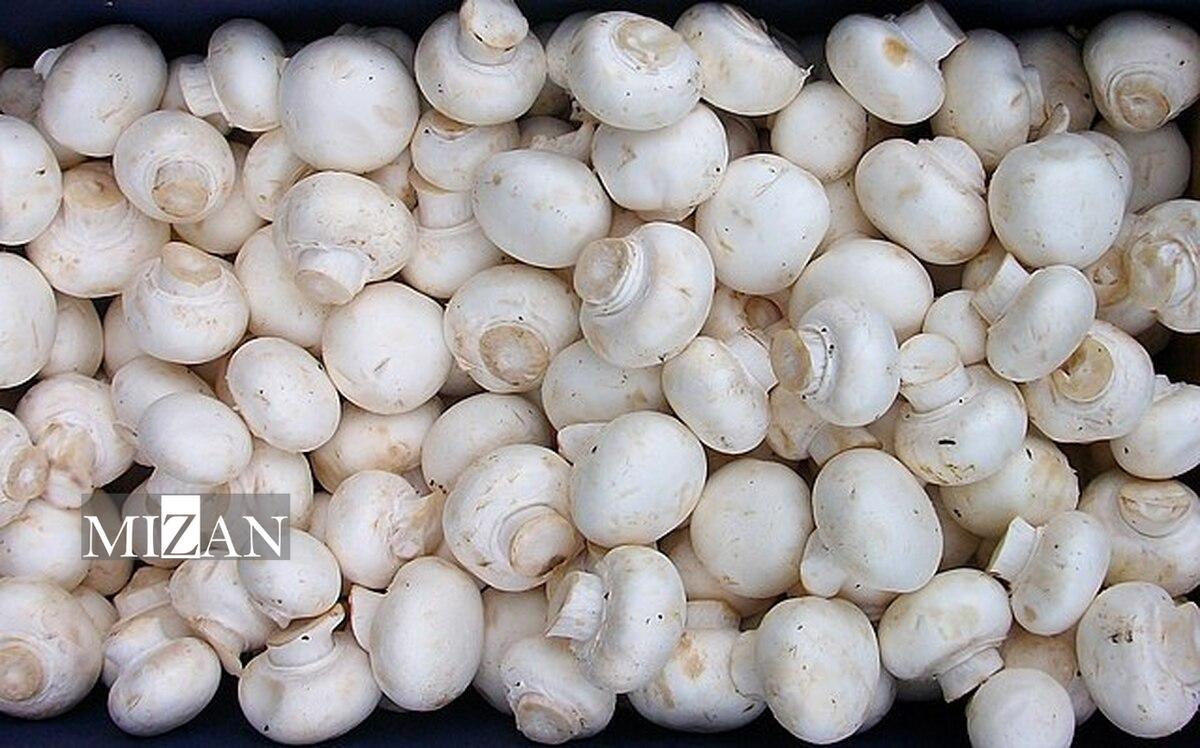 قیمت انواع قارچ اعلام شد