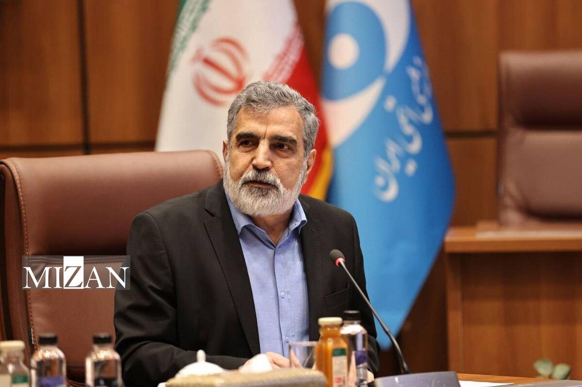 کمالوندی: هیچ دارایی و حساب سازمان انرژی اتمی در ترکیه مسدود نشده است