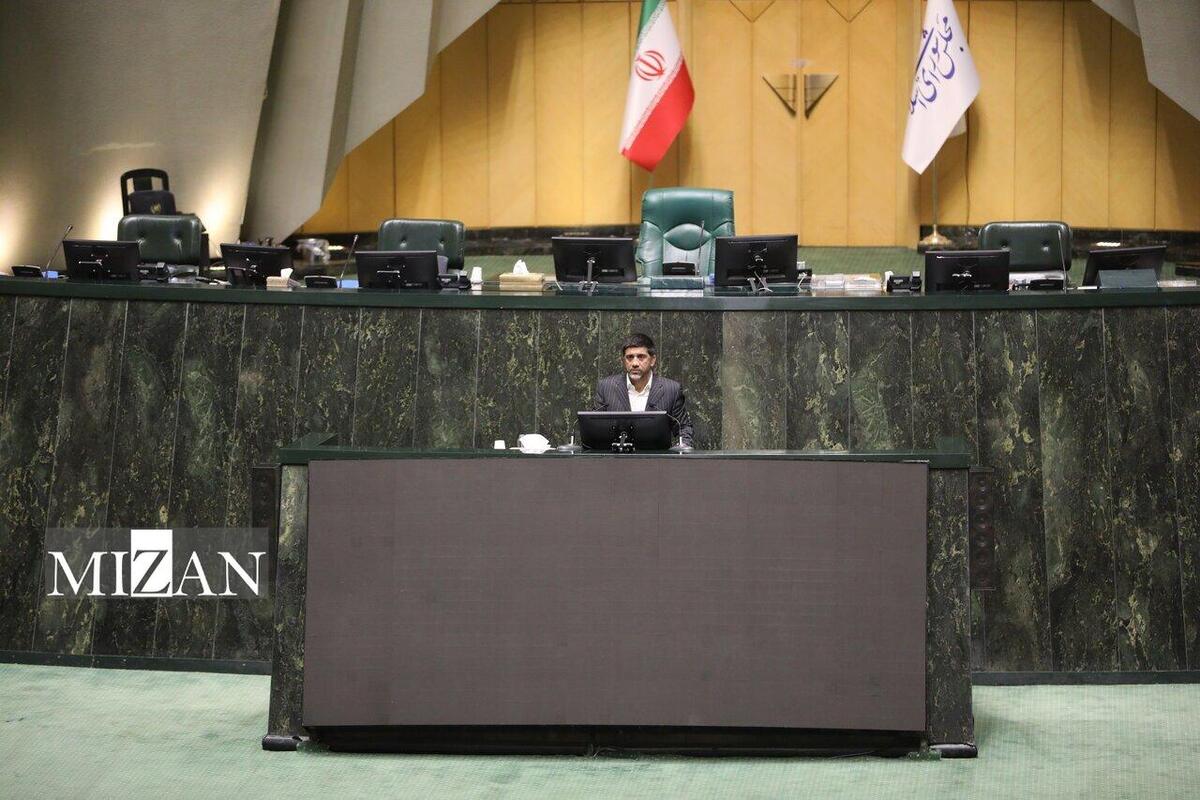 دبیر: مجلس در رأس حامیان فدراسیون کشتی قرار دارد