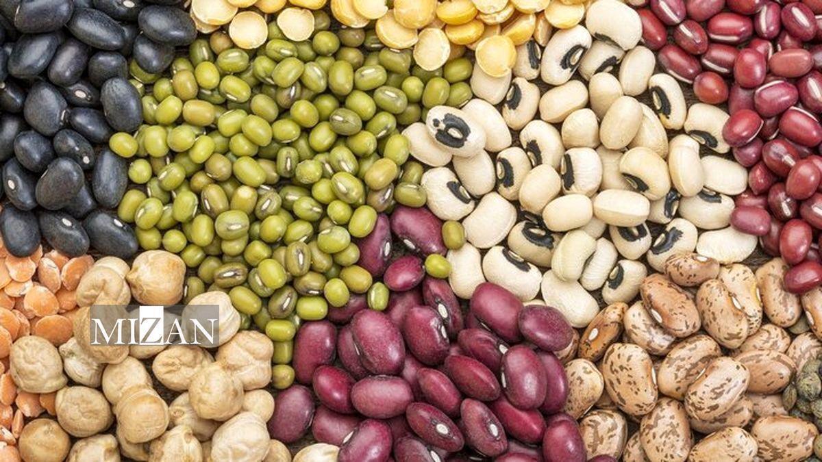 اختلاف قیمت ۳۰ درصدی میوه در میادین و بازار‌های میوه و تره‌بار به نسبت سطح شهر