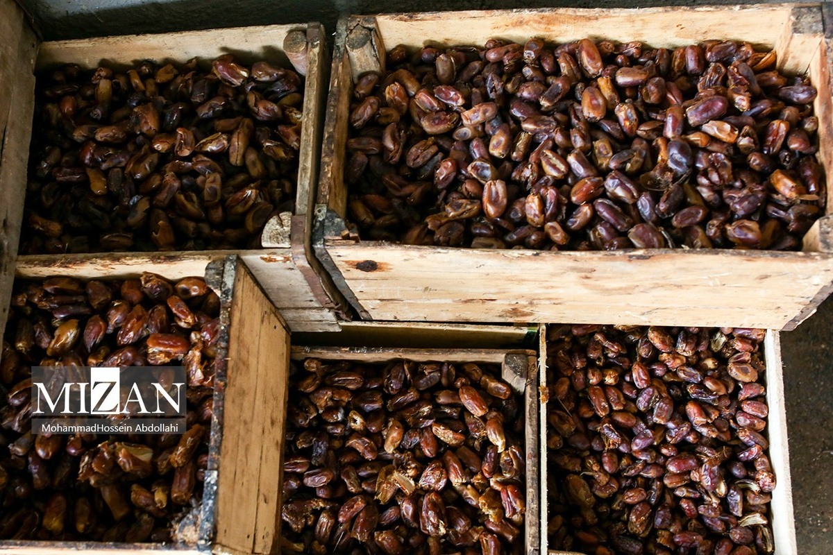 قیمت خرما در میادین میوه و تره‌بار تهران