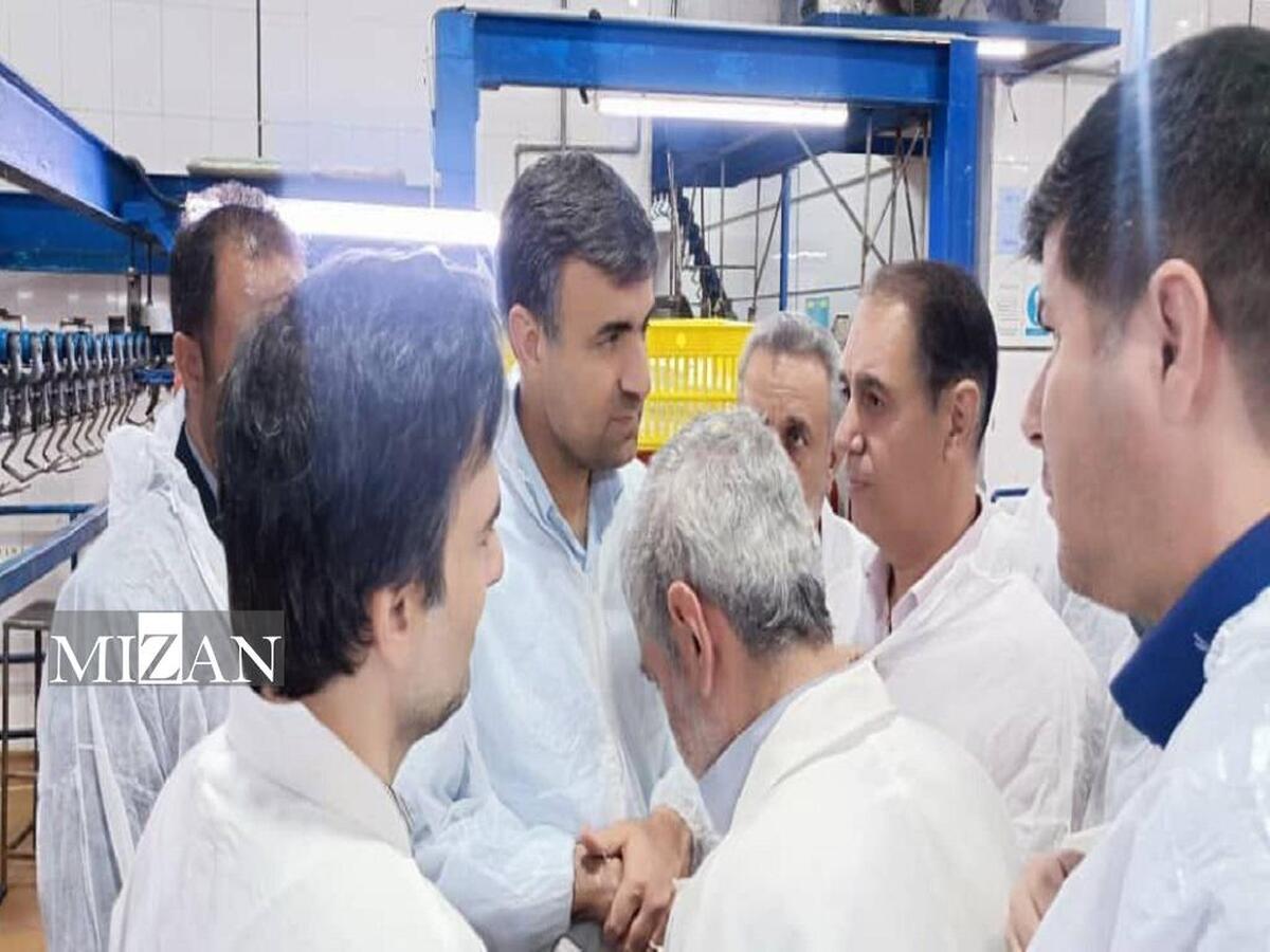 دادستانی استان فارس در صورت دریافت گزارش گران‌فروشی و اخلال در توزیع مرغ، به‌صورت ویژه وارد عمل می‌شود