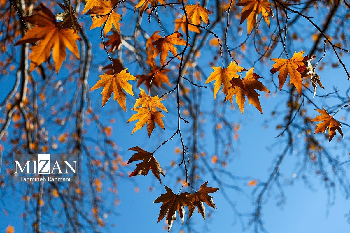 چگونه از خشکی پوست در پاییز جلوگیری کنیم؟