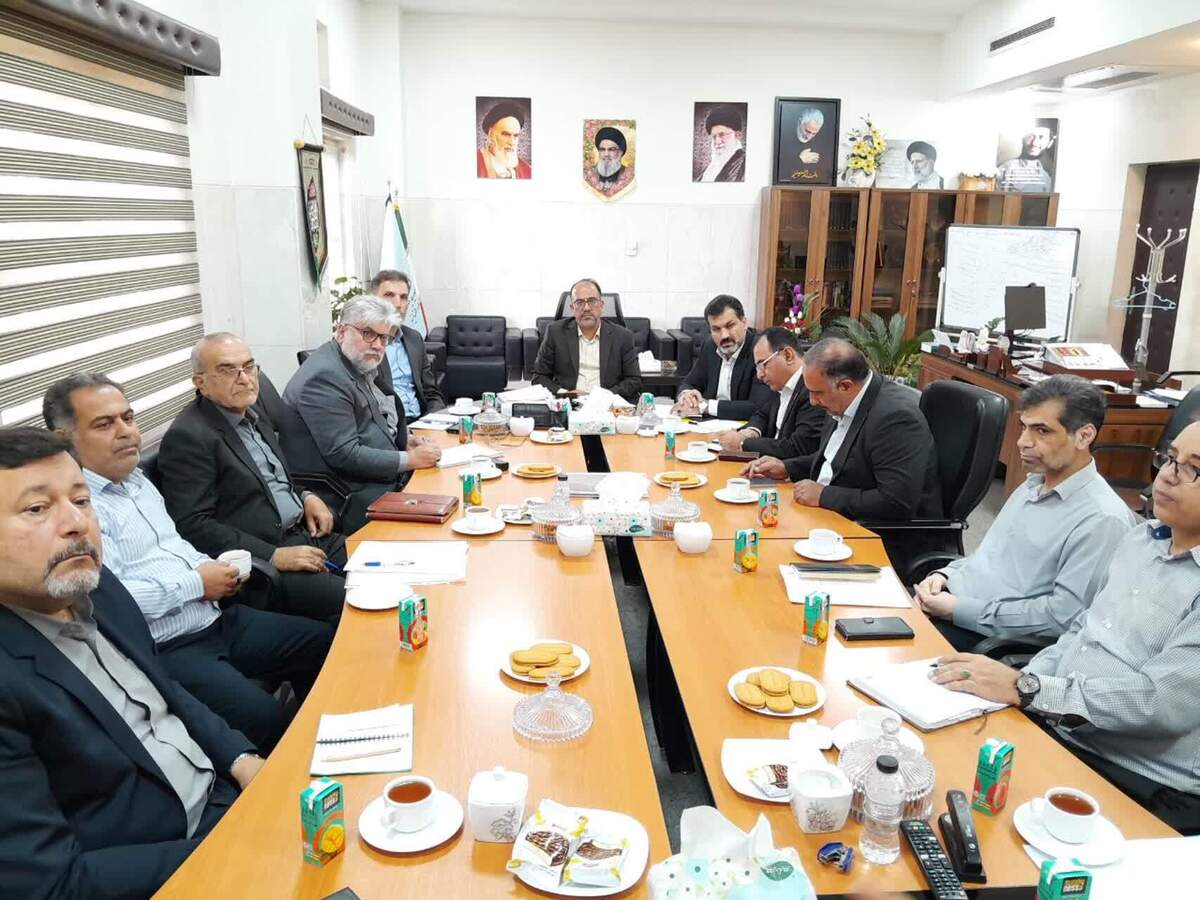 دادستان مرکز استان خوزستان: اجرای فوری و جدی طرح‌های بیابان‌زدایی برای مهار ریزگرد‌ها ضروری است