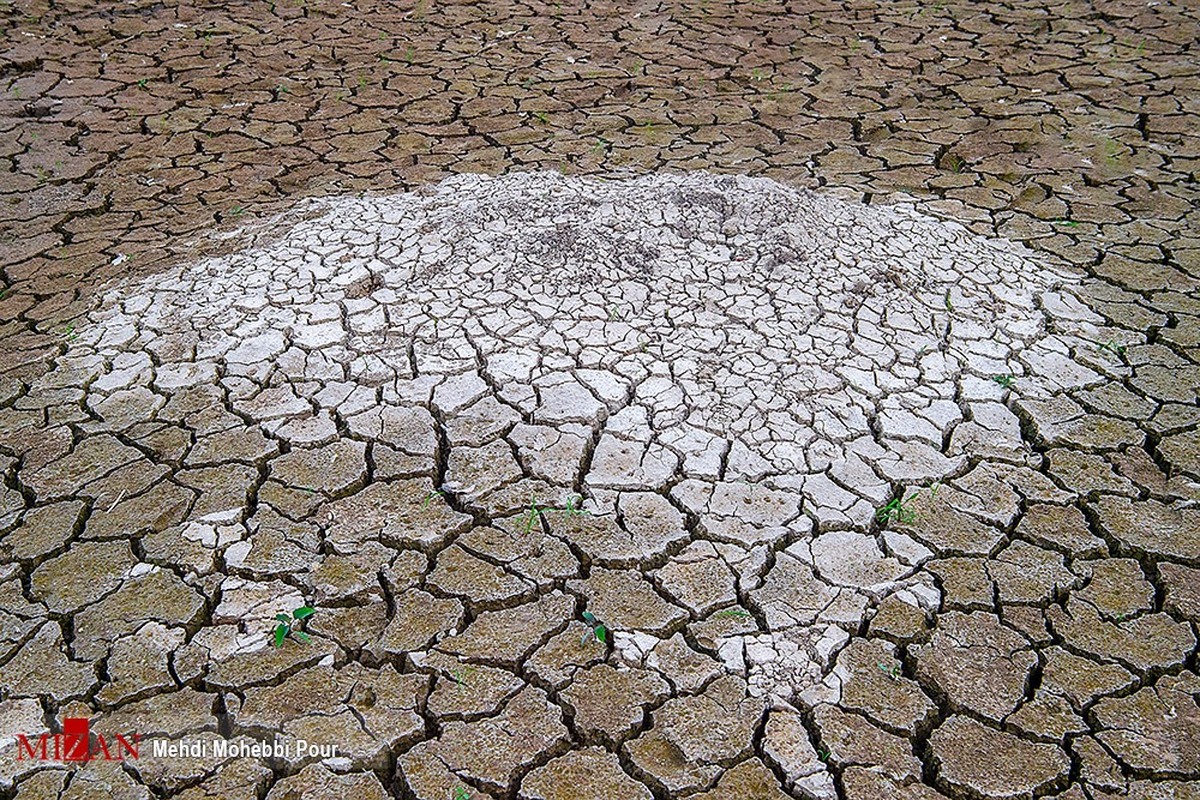 ادامه‌دار‌شدن کاهش میانگین بارش زنگ خطری برای مناطق
