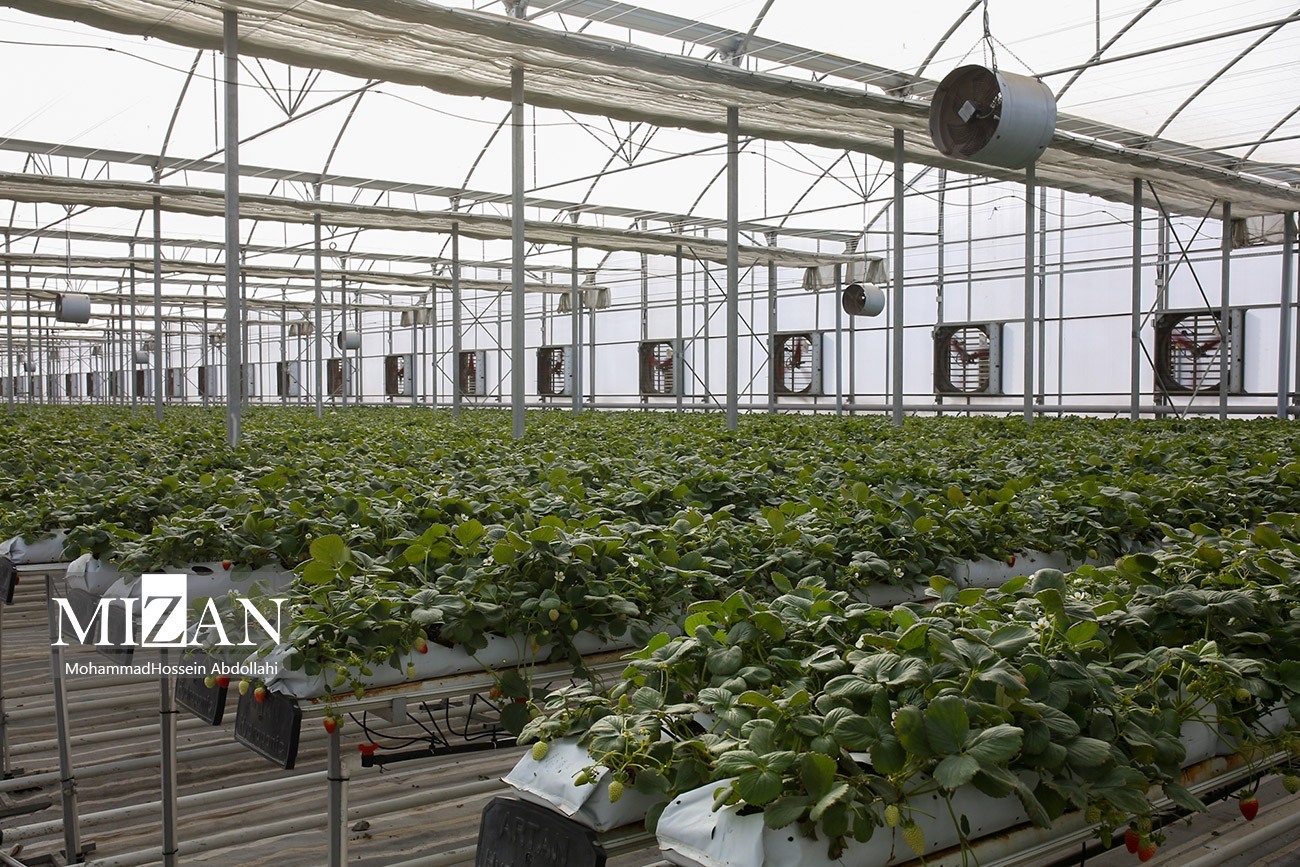 حمایت قضایی از تولید کل کشور/ جلوگیری از  خروج ۲۲ میلیون دلار سرمایه گذاری با حمایت قضایی دادگستری گلستان 