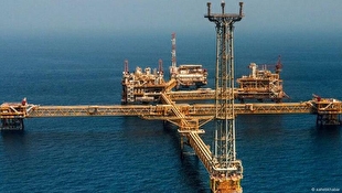 توضیحات مدیر اکتشاف شرکت ملی نفت ایران درباره میدان نفتی تازه کشف‌شده پازن